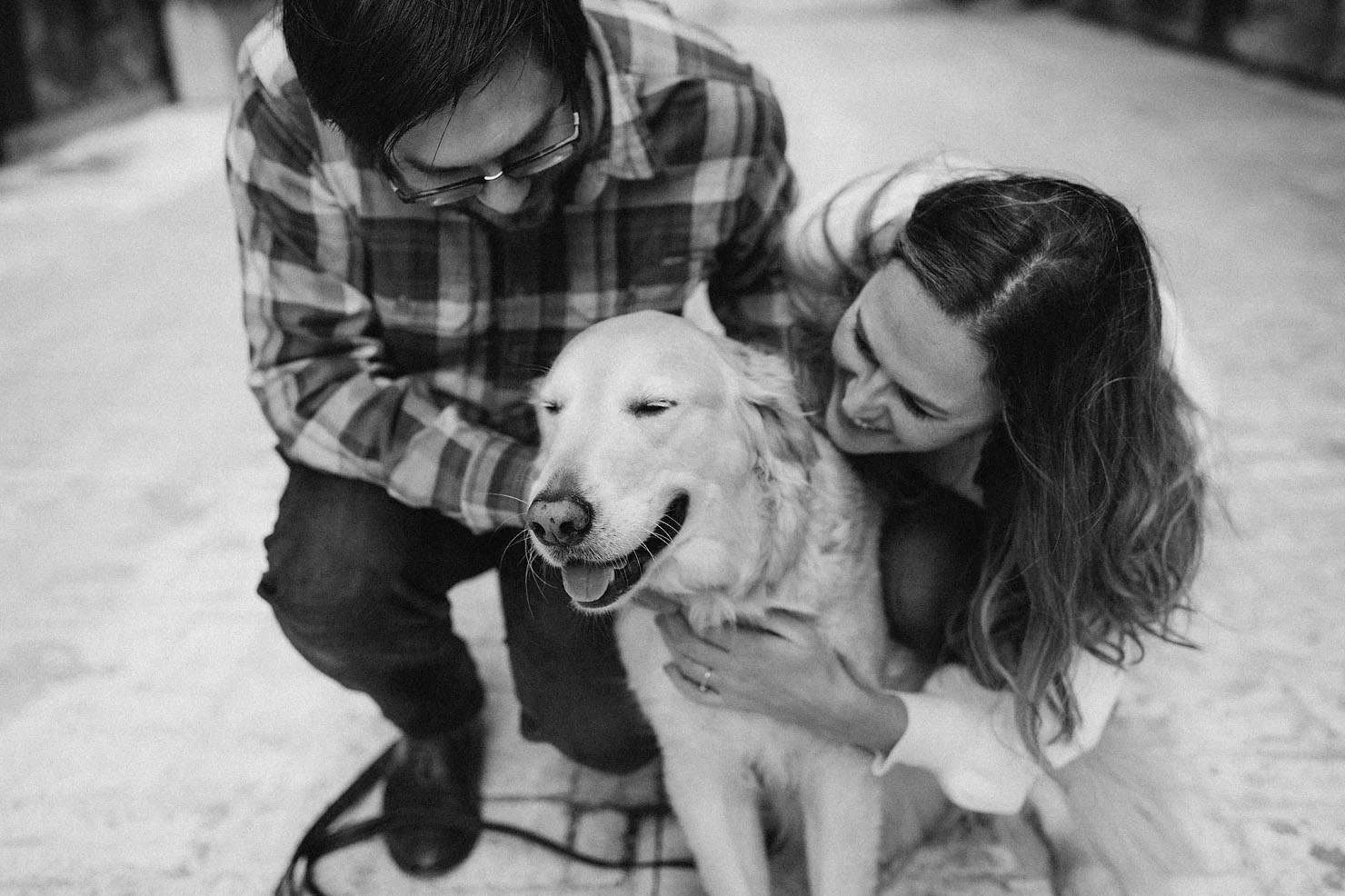 Black and white photo of a couple petting their dog during their Michigan engagement session