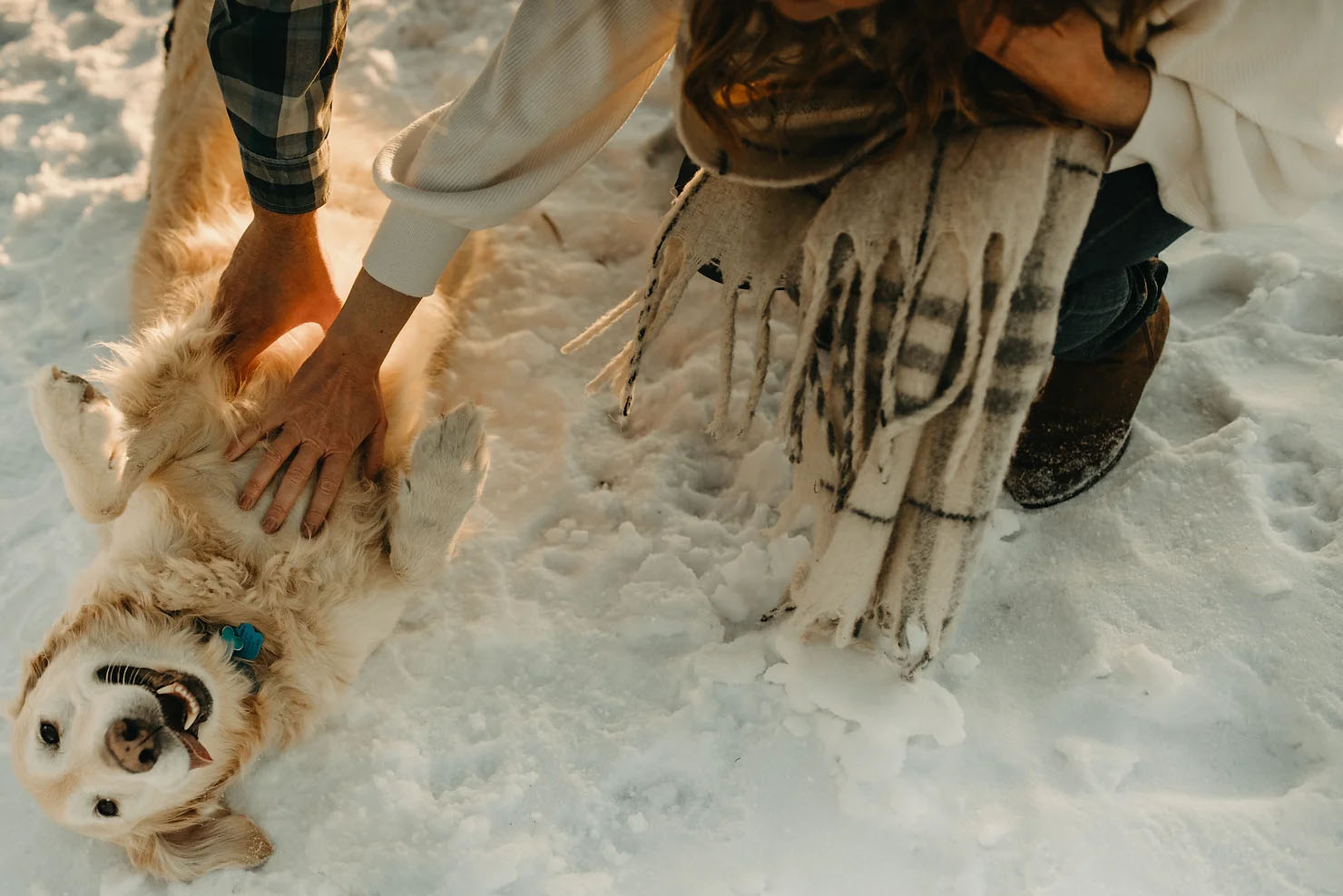 Couple giving dog belly rubs as it lays in the snow