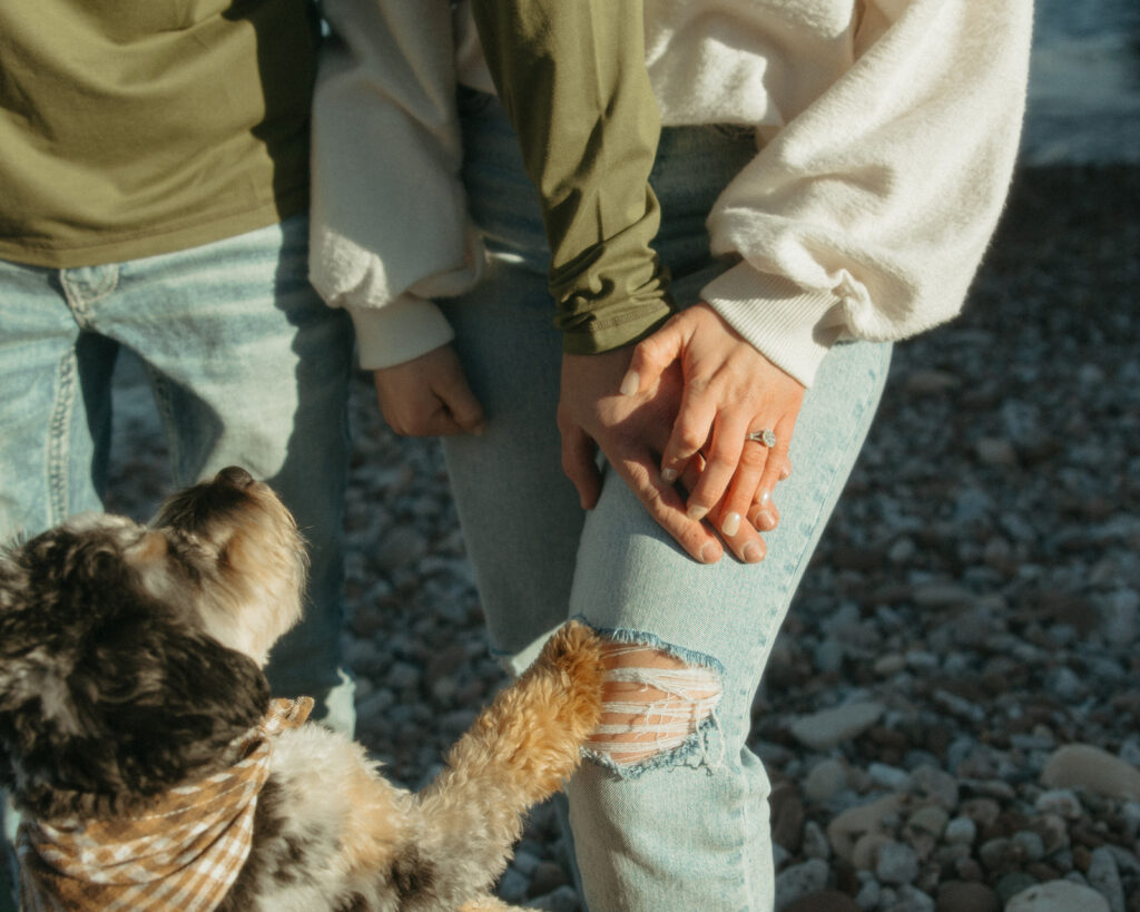 Close up photo of a couple holding hands along with their dog