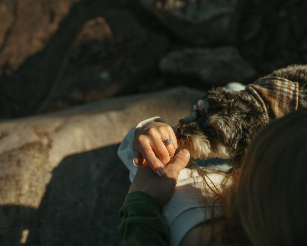Close up shot of a couple holding hands and showing off the engagement ring with their dog