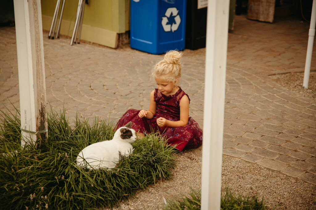 Girl playing with a cat
