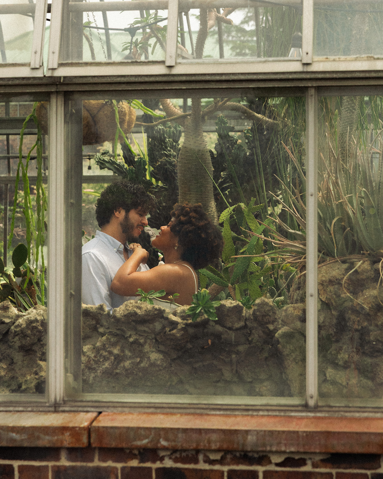 Couple posing inside The Conservatory at Belle Isle for their Detroit engagement photos.