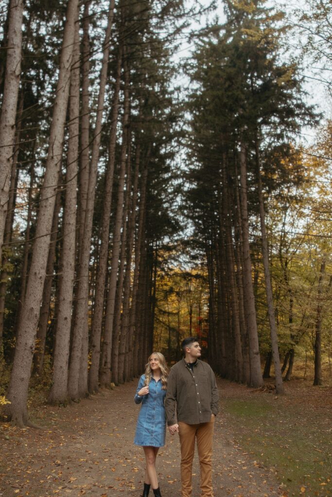 Couples fall Stony Creek Metro Park engagement photos