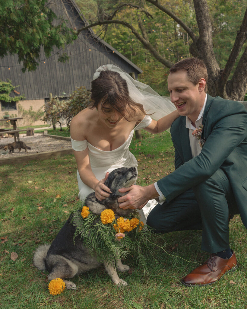 Bride and grooms photos with their dog