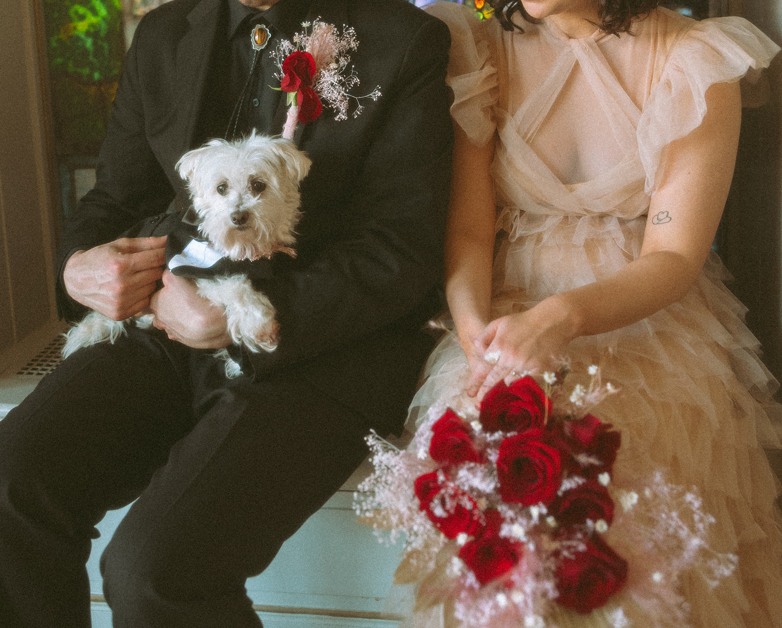Couple posing with their dog