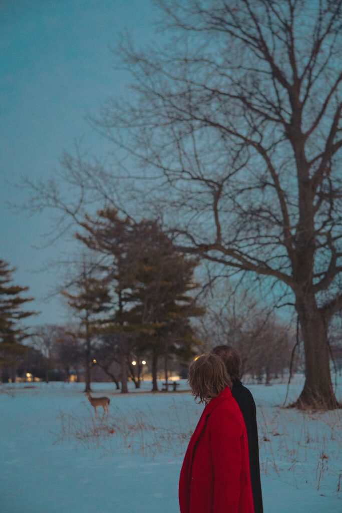 Couple admiring a deer during their Detroit winter engagement photos at Lake St. Clair Metropark.