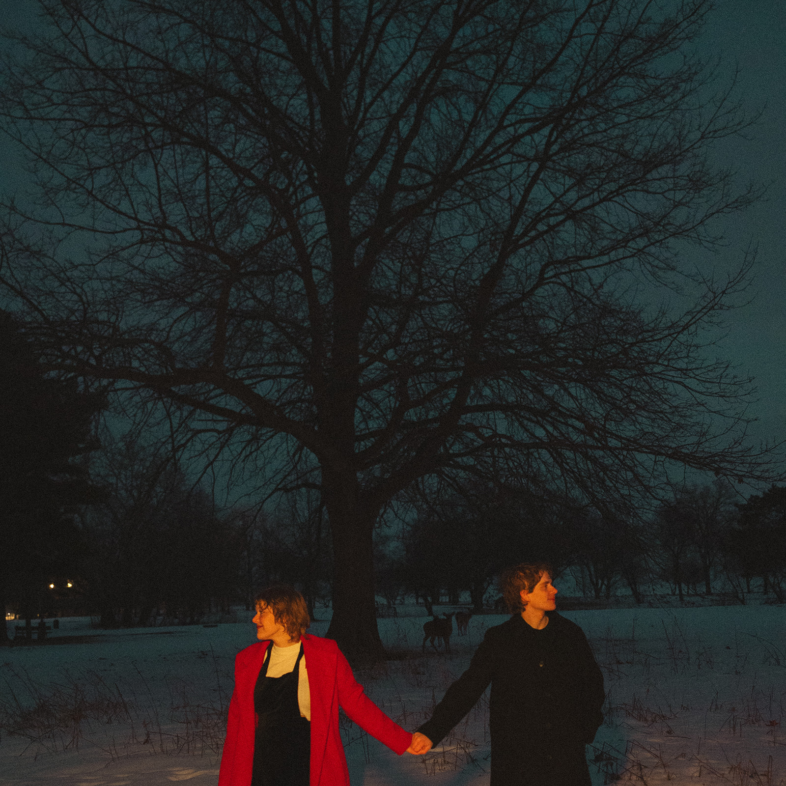 Couple holding hands during their nighttime Detroit winter engagement photos with deer behind them at Lake St. Clair Metropark.